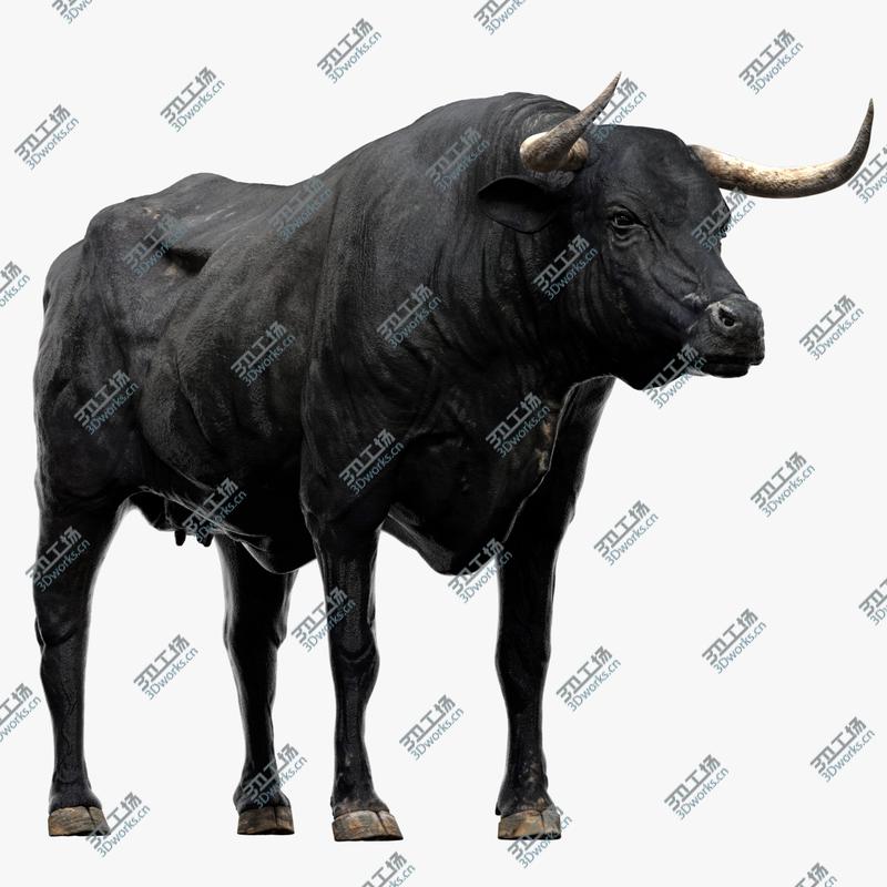 images/goods_img/20210319/Bull Cow (NoFur) (Rigged) 3D/1.jpg